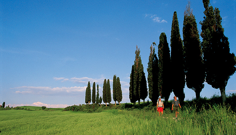Wctq-tuscany-walking-4